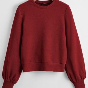 Rib-Knit Solid Sweatshirt